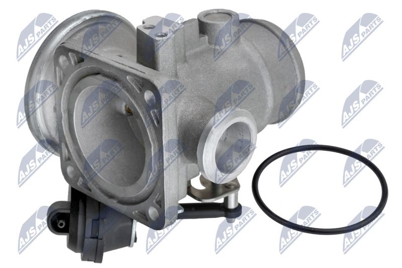 EGR-VW-062_2-WM.JPG
