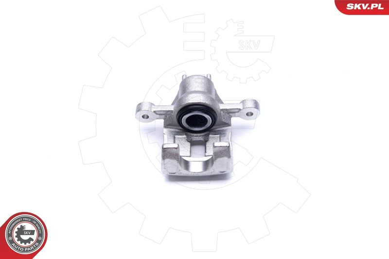 ESEN SKV 42SKV564 Brake Caliper