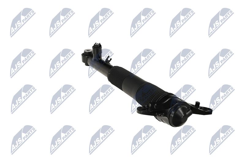Amort, NTY A-LR-037
