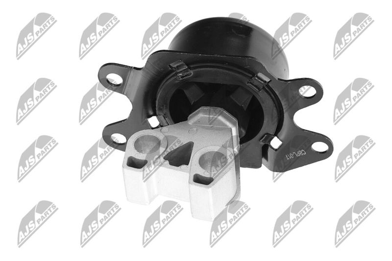 Paigutus, Mootor, NTY ZPS-PL-053