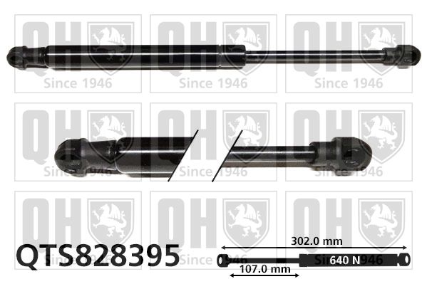 QUINTON HAZELL gázrugó, csomag-/poggyásztér QTS828395