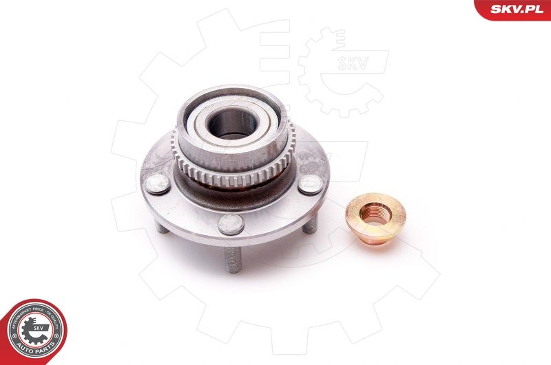 ESEN SKV 29SKV058 Wheel Bearing Kit