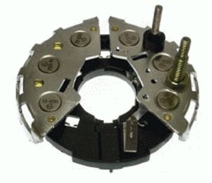 PRP512.JPG