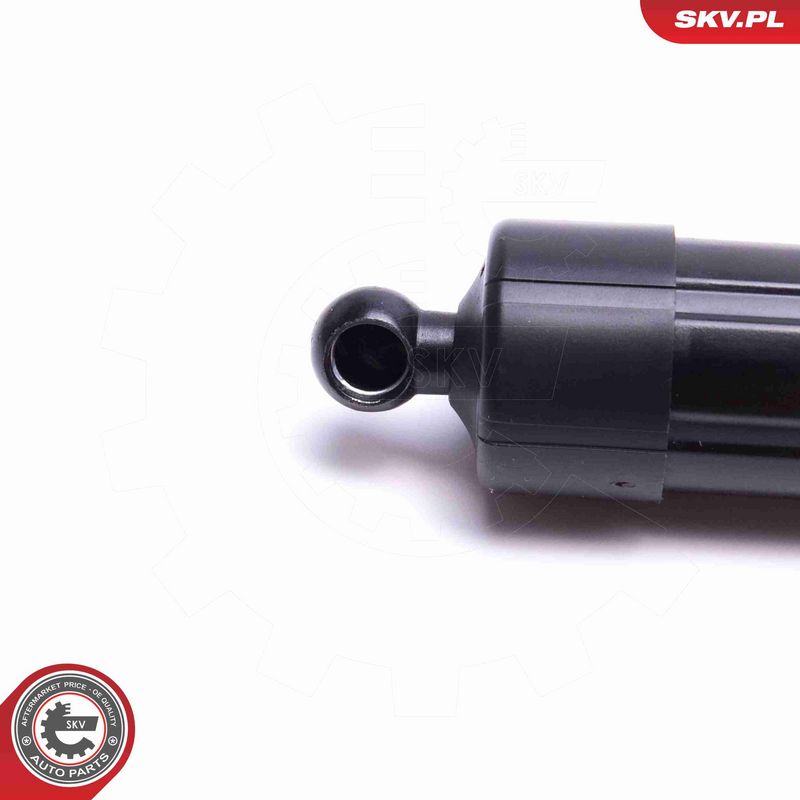 ESEN SKV 52SKV938 Electric Motor, tailgate