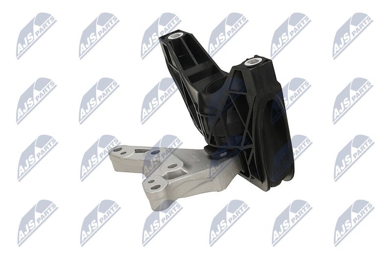 Paigutus, Mootor, NTY ZPS-PL-081