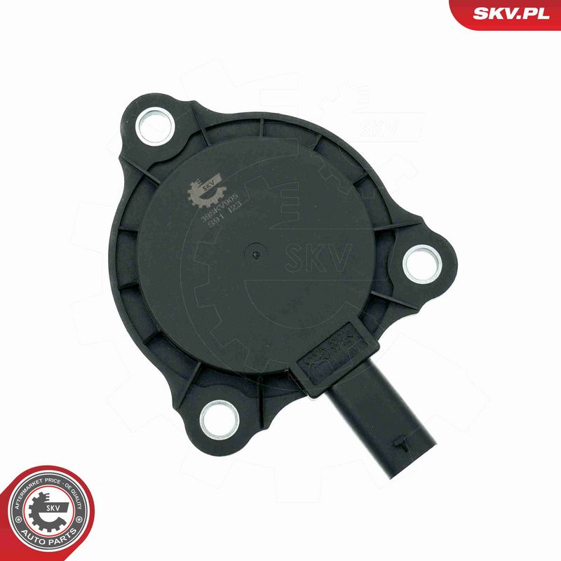 ESEN SKV 39SKV905 Central Magnet, camshaft adjustment
