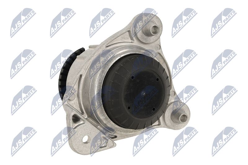 Paigutus, Mootor, NTY ZPS-ME-065