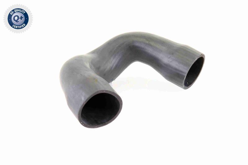 VAICO V10-3821 Charge Air Hose