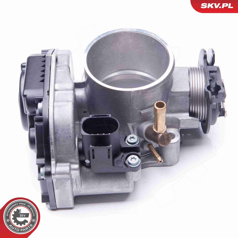 ESEN SKV 12SKV035 Throttle Body