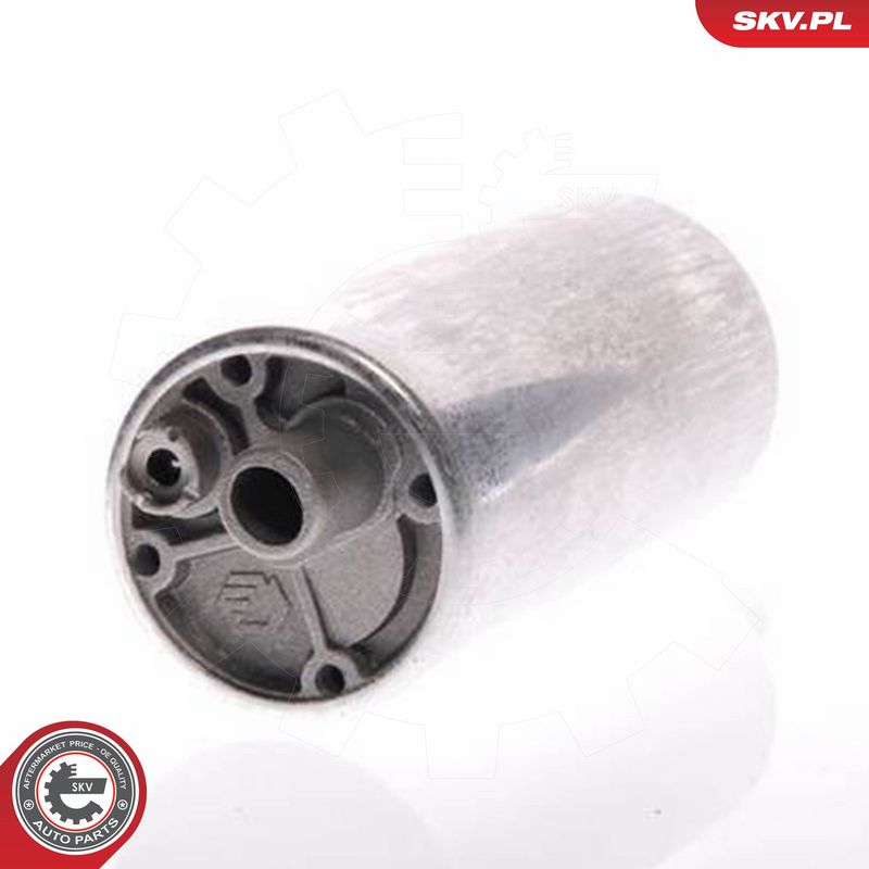 ESEN SKV 02SKV216 Fuel Pump
