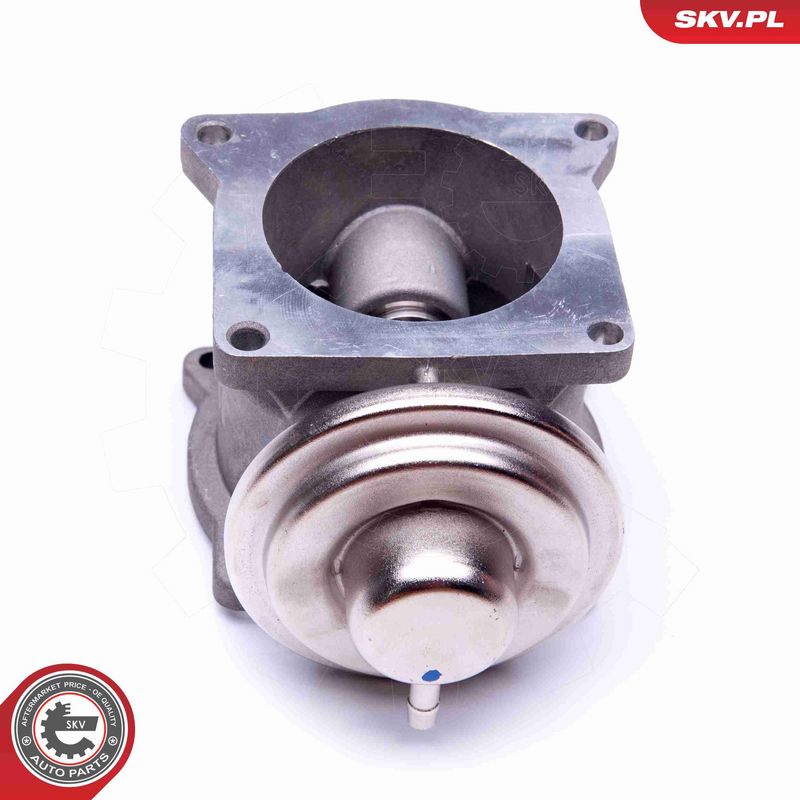 ESEN SKV 14SKV108 EGR Valve