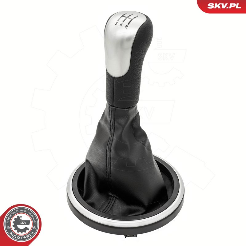 Käigukanginupp, ESEN SKV...