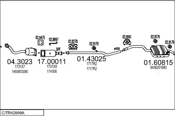 CITR42899A.JPG
