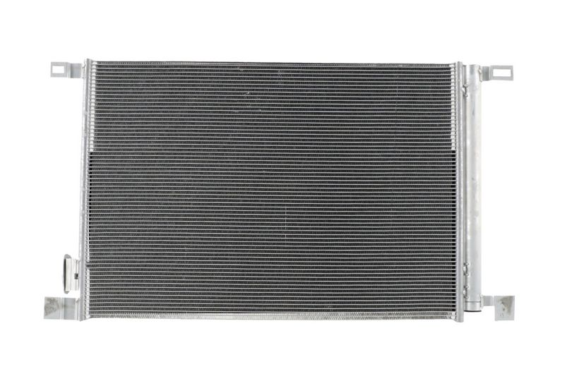 366222011_BACK_TD_1.JPG