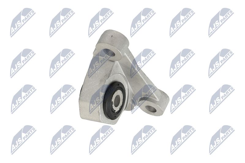 Paigutus, Mootor, NTY ZPS-CH-118