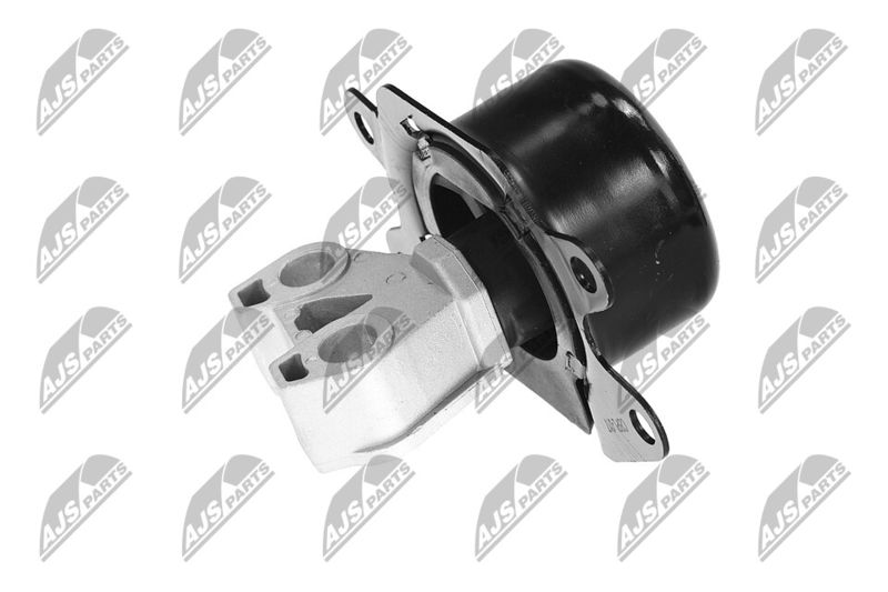 Paigutus, Mootor, NTY ZPS-PL-053