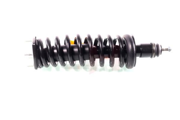 Vedruamort, GH GH-333360C01