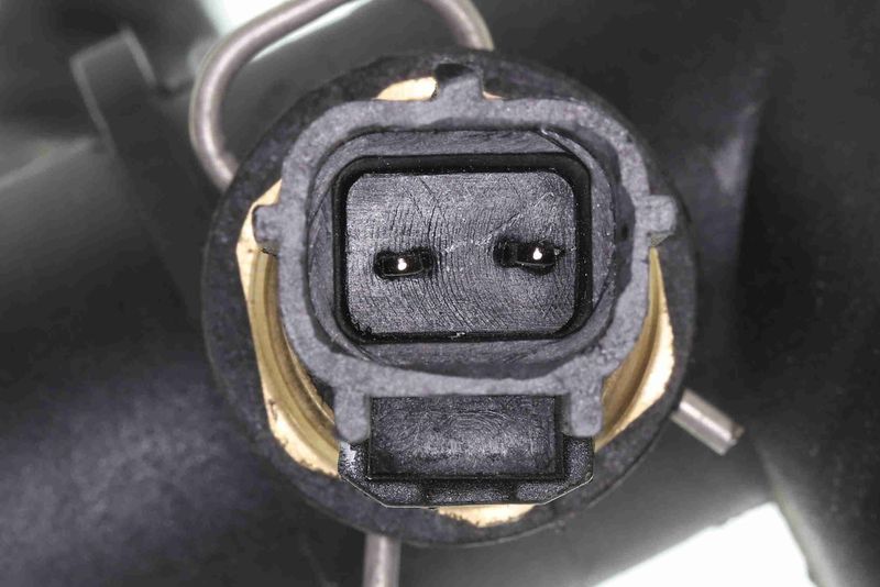 VAICO V41-0037 Radiator Hose