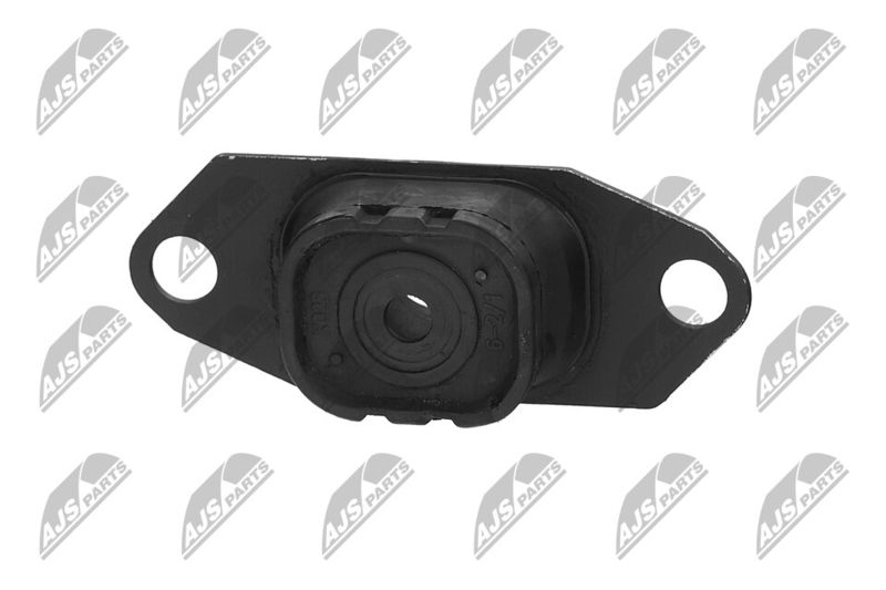 Paigutus, Mootor, NTY ZPS-NS-055