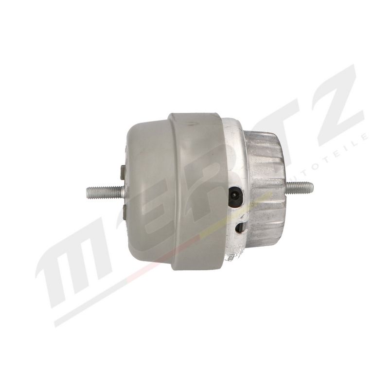 MERTZ M-S4974 Mounting, engine