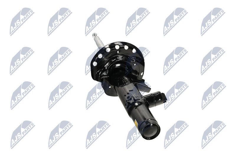 Amort, NTY A-LR-033