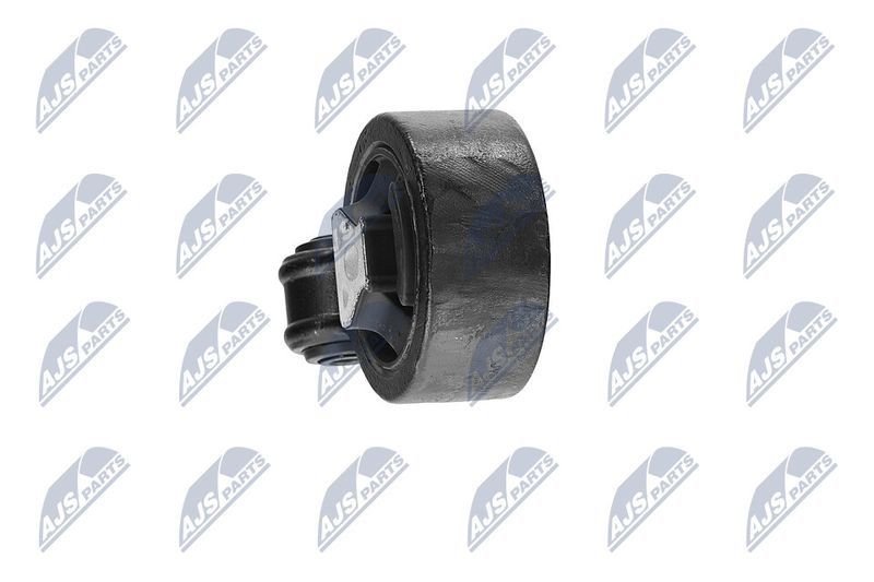 Paigutus, Mootor, NTY ZPS-CH-117