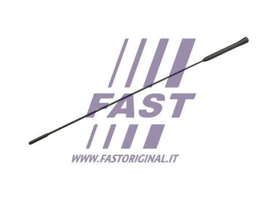 FT92506_2_1.JPG