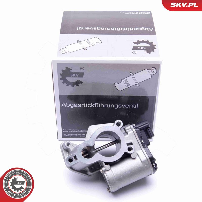 ESEN SKV 14SKV184 EGR Valve