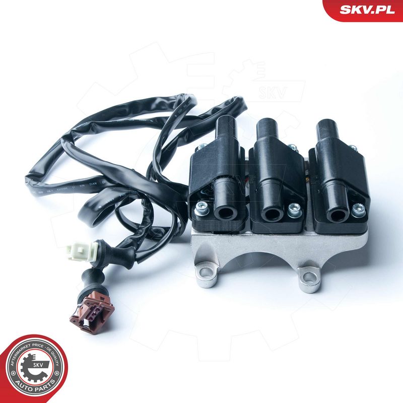 Süütepool, ESEN SKV 03SKV217