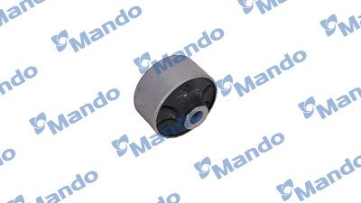 DCC010618(1).JPG