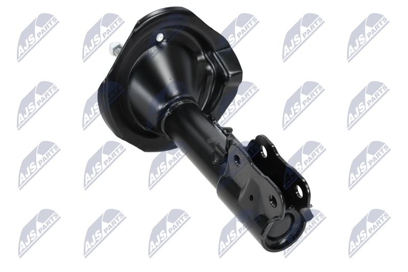 Amort, NTY A-MS-015