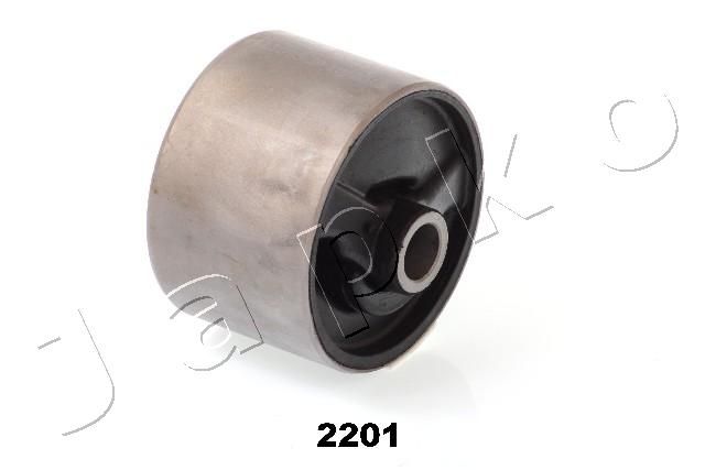 GOJ2201_1.JPG