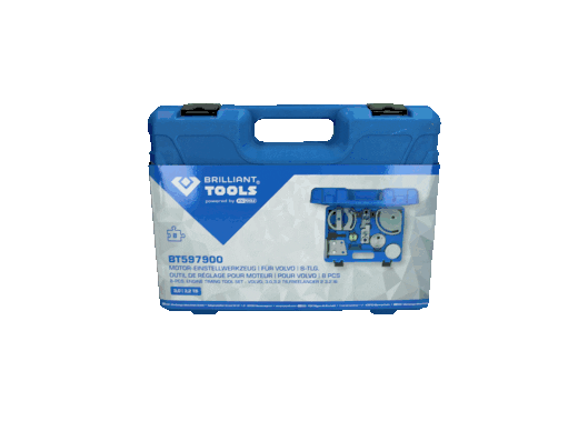 KS TOOLS BT597900 Reguliavimo įrankių rinkinys, veleno nustatymo įrankiai