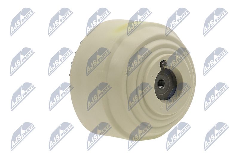 Paigutus, Mootor, NTY ZPS-ME-101