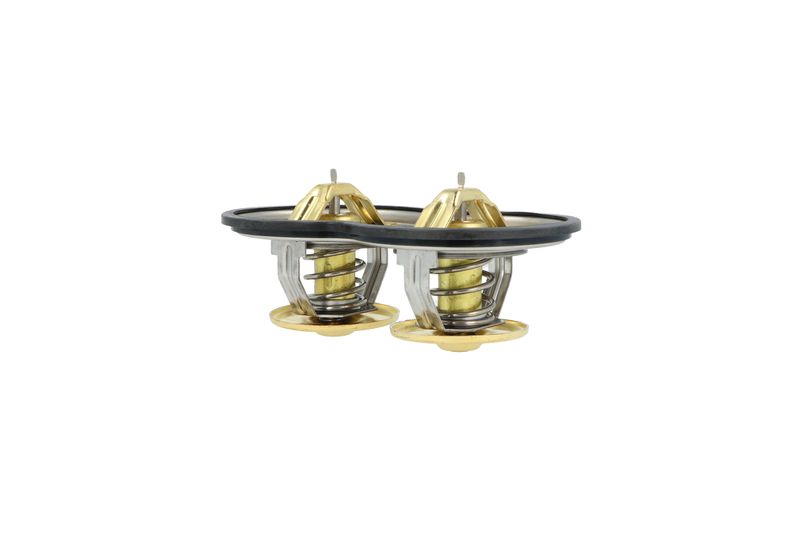 Termostat, chladivo 725374