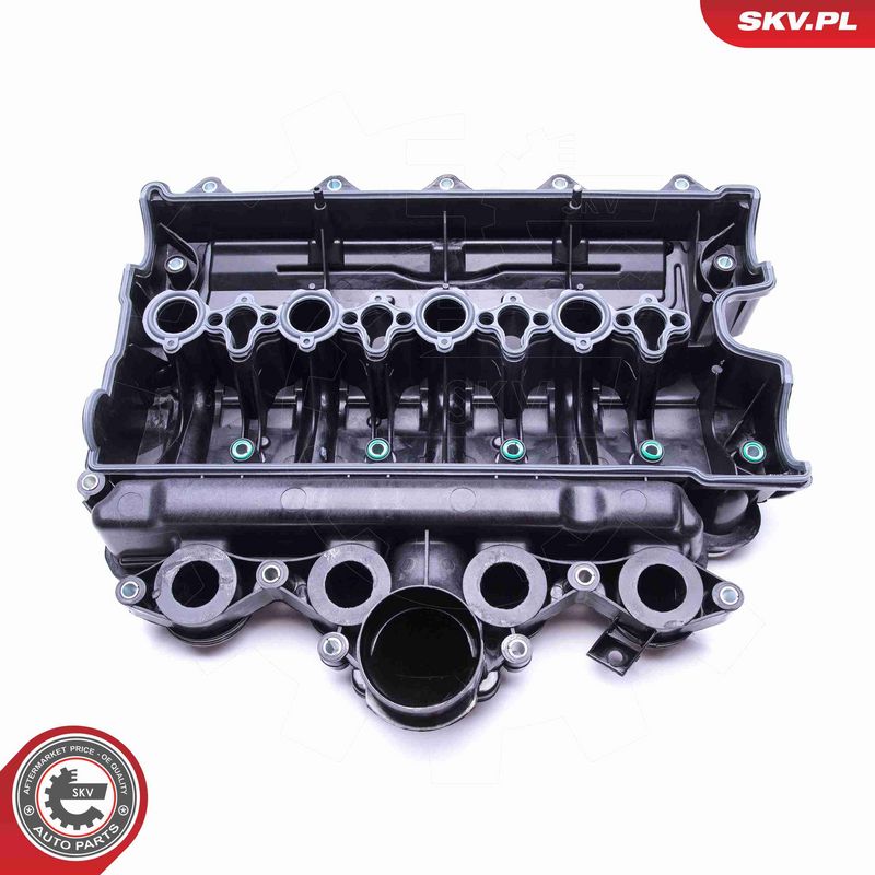 ESEN SKV 49SKV021 Intake Manifold Module