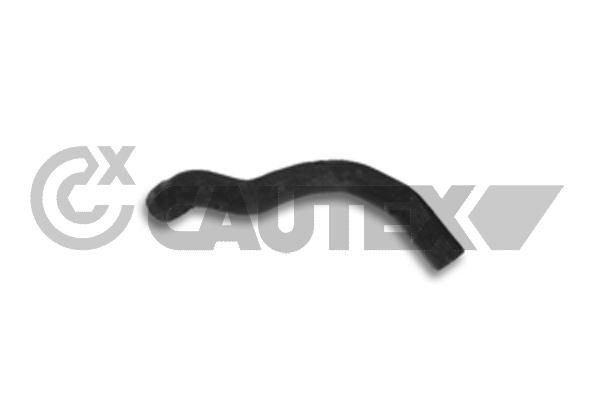 CAUTEX 186053 - Radiator Hose