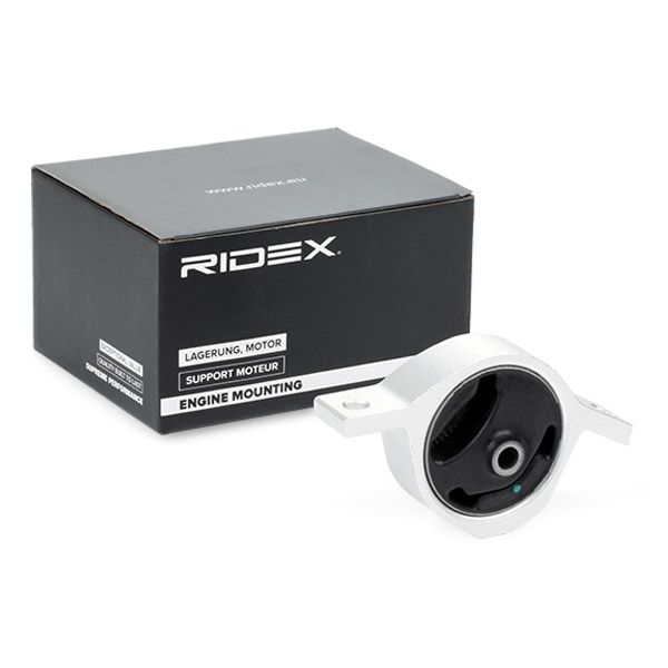 окачване, двигател RIDEX