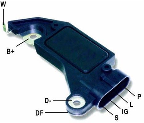 DDF_AMP0709_WR.JPG