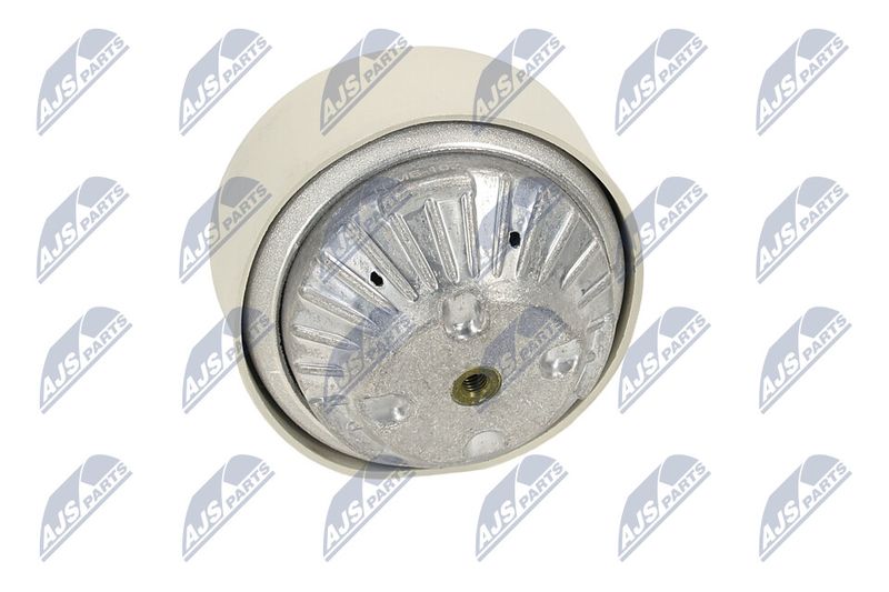 Paigutus, Mootor, NTY ZPS-ME-102