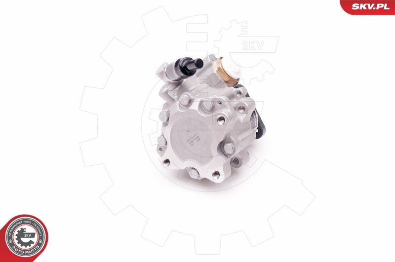 ESEN SKV 10SKV239 Hydraulic Pump, steering