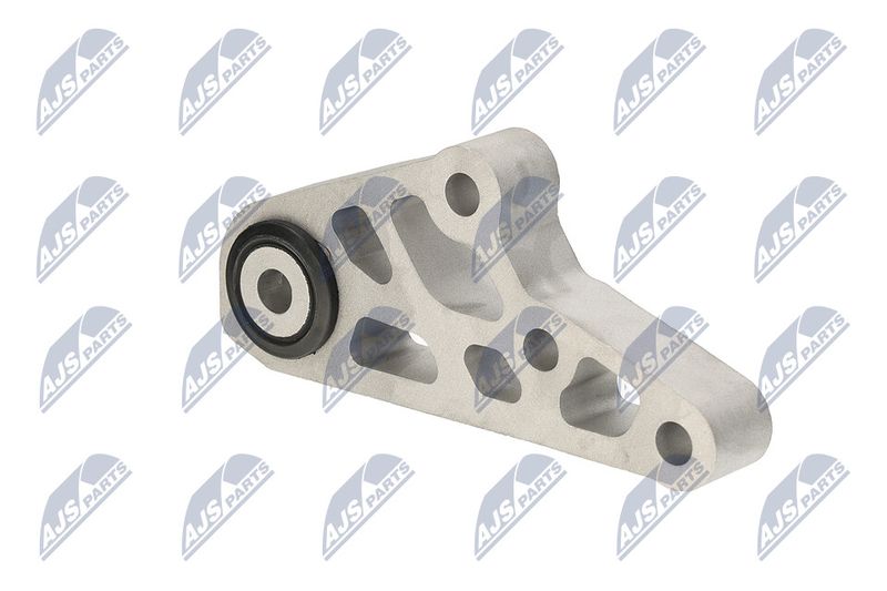 Paigutus, Mootor, NTY ZPS-CH-119