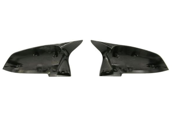 BLIC 6103-01-0063100KP Housing, exterior mirror