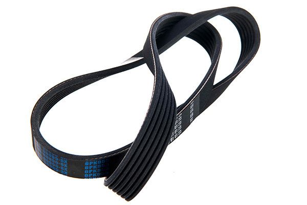 STELLOX 96-00955-SX V-ribbed Belt