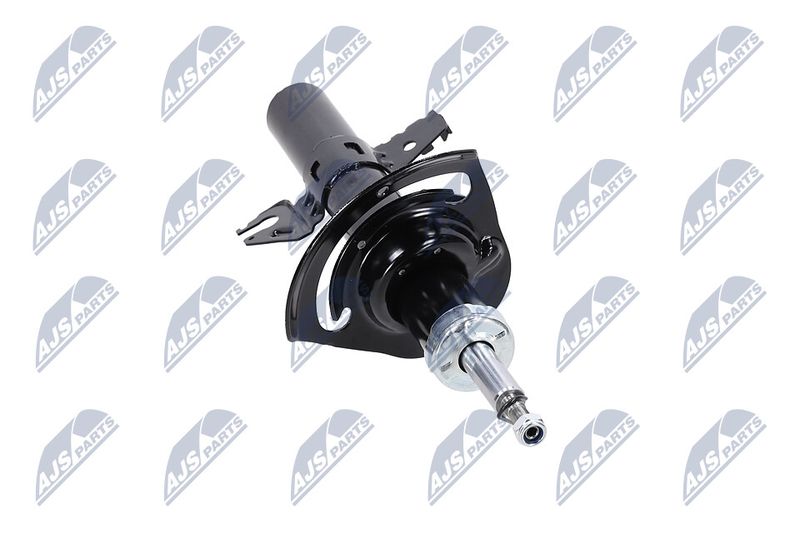 Amort, NTY A-CH-083
