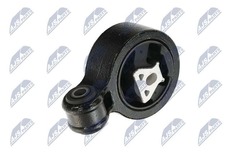 Paigutus, Mootor, NTY ZPS-CH-137