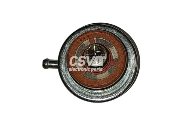 Regulador de la presión del combustible