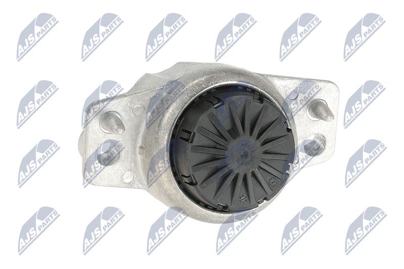 Paigutus, Mootor, NTY ZPS-LR-015