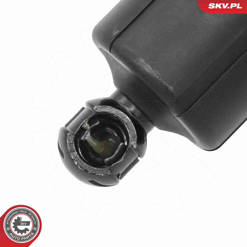 ESEN SKV 52SKV284 Electric Motor, tailgate