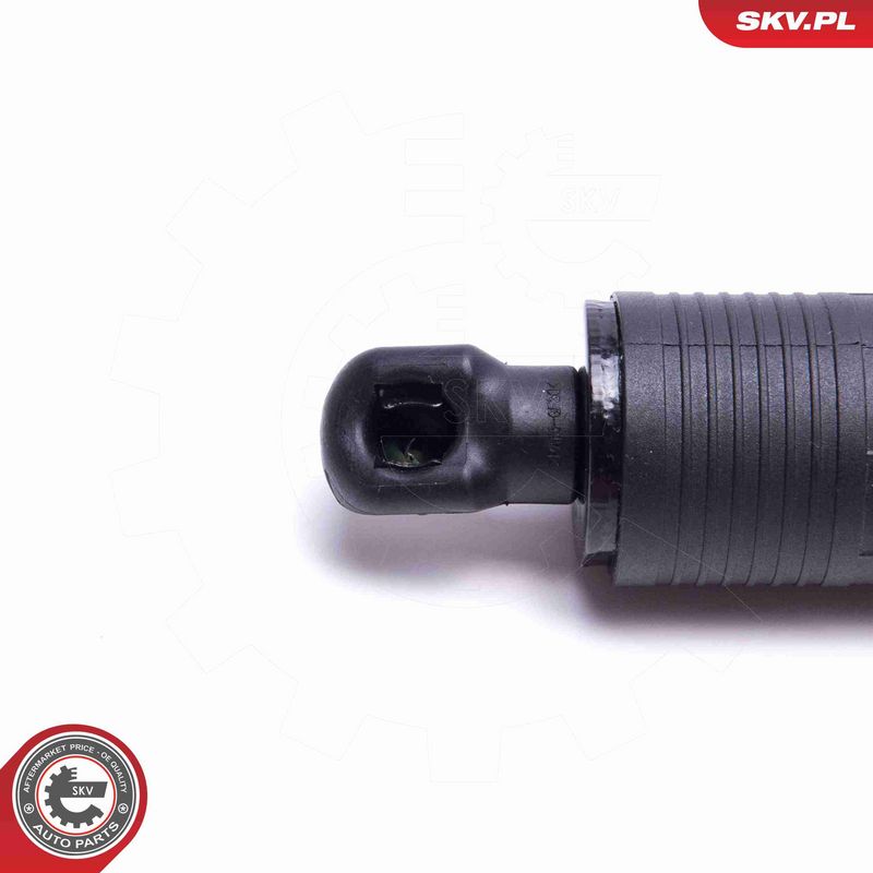 ESEN SKV 52SKV907 Electric Motor, tailgate